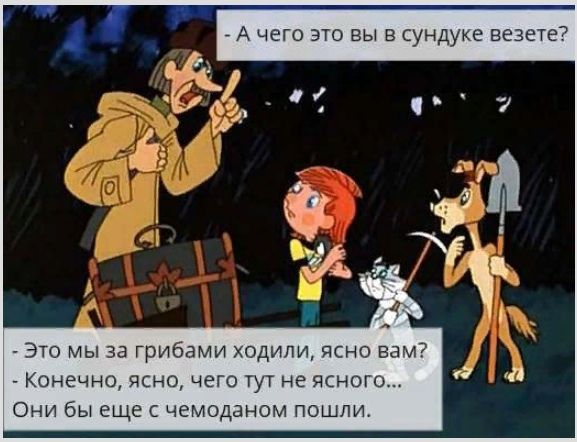 Путевые заметки. Надежный спутник или обуза? Как выбрать чемодан. Марина Рощина.