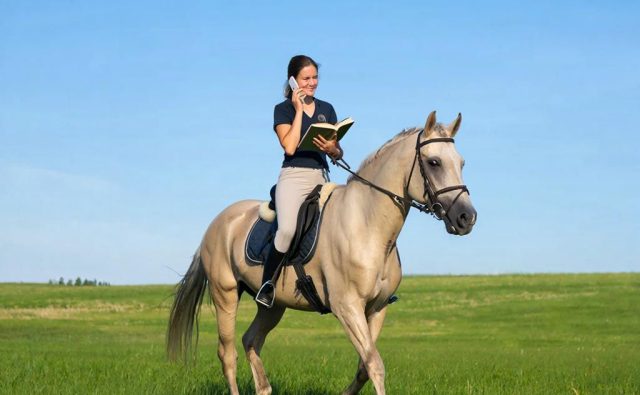 Всадница на светло-серой лошади на зелёном поле под ясным голубым небом. Женщина с тёмными волосами собранными назад сидит в седле; на ней тёмная футболка и светлые брюки. В одной руке у неё мобильный телефон у уха, в другой — раскрытая книга. Лошадь идёт шагом, на ней чёрная уздечка и седло; хвост тёмный. На горизонте видна ровная линия поля без построек.