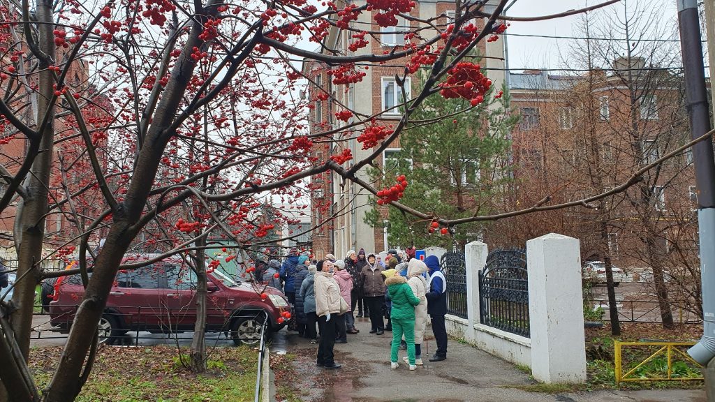 Осенний городской двор с деревьями рябины на переднем плане, на ветках — гроздья ярко-красных ягод. На заднем плане видно многоэтажное кирпичное здание,
возле входа собралась группа людей — большинство одеты в тёплые куртки и шапки, некоторые держат трости.